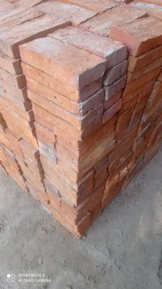 Bata merah buat proyek
