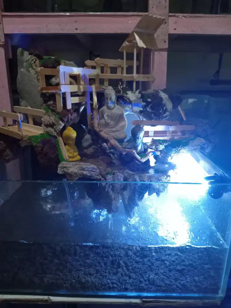 Aquarium air terjun paludarium komplit
