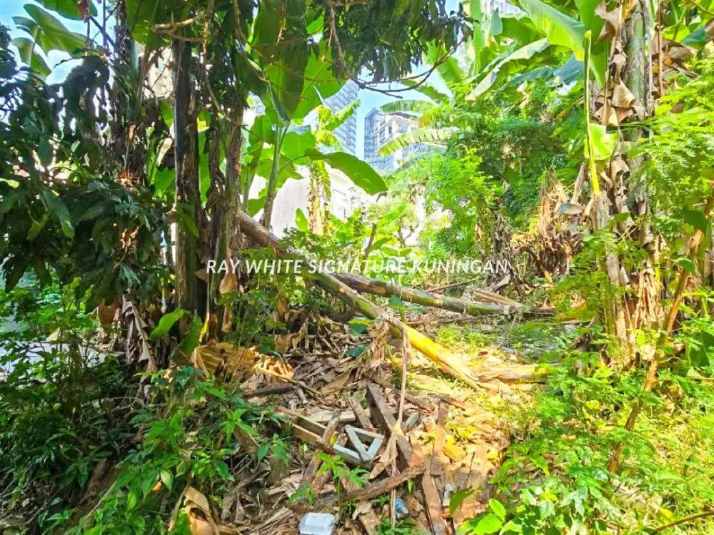 Dijual Tanah Kavling Cocok Untuk Hunian Mewah di Karang Asem Tengah Mega Kuningan