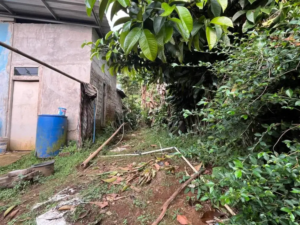 Dijual Murah Tanah Kebun Bisa Akses Mobil di Bojong Purwakarta