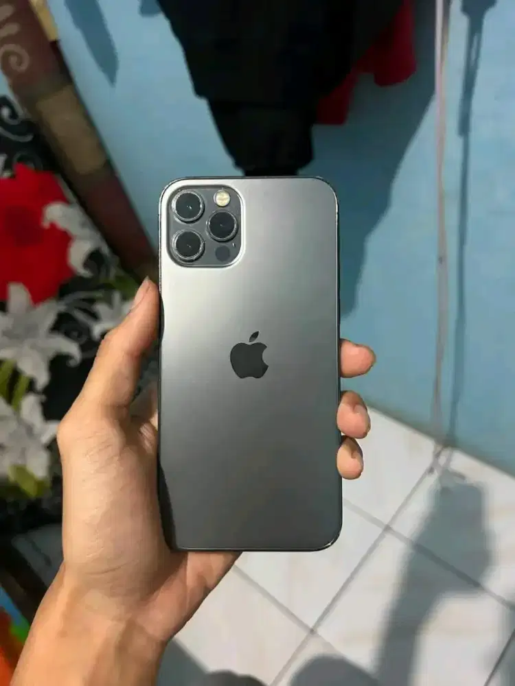iPhone 12 pro 256