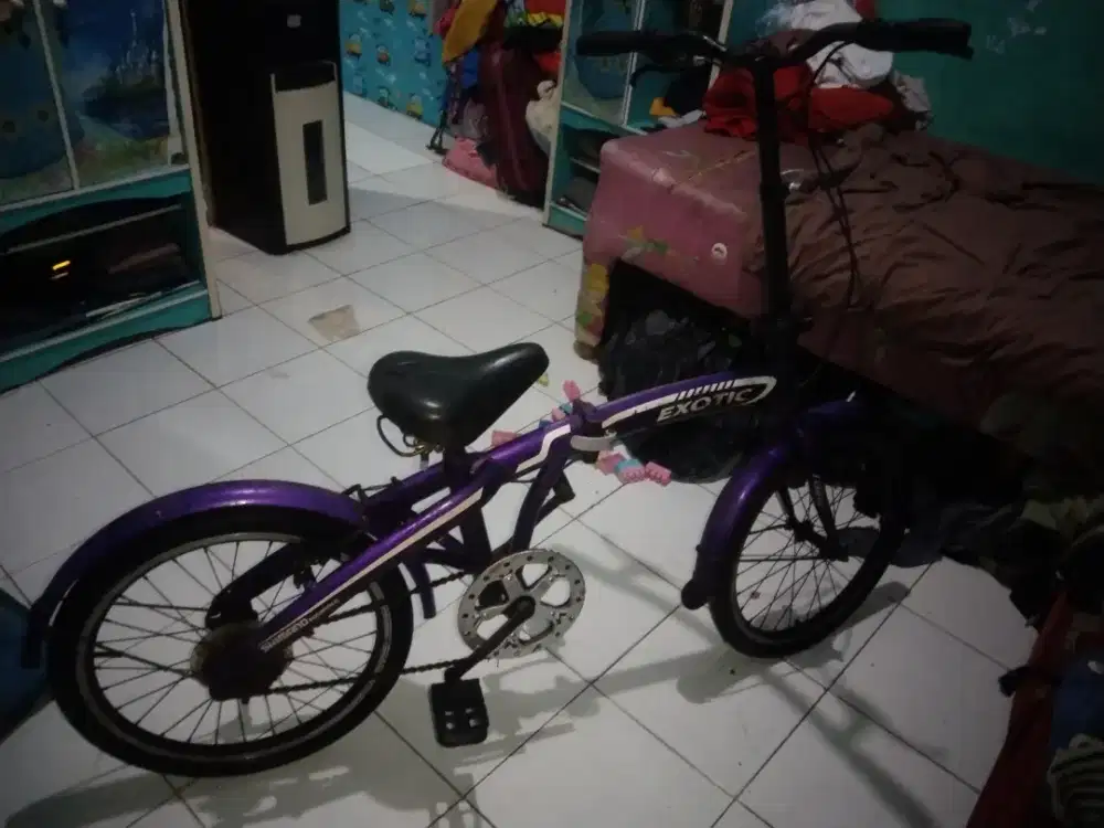 Sepeda lipet exotic