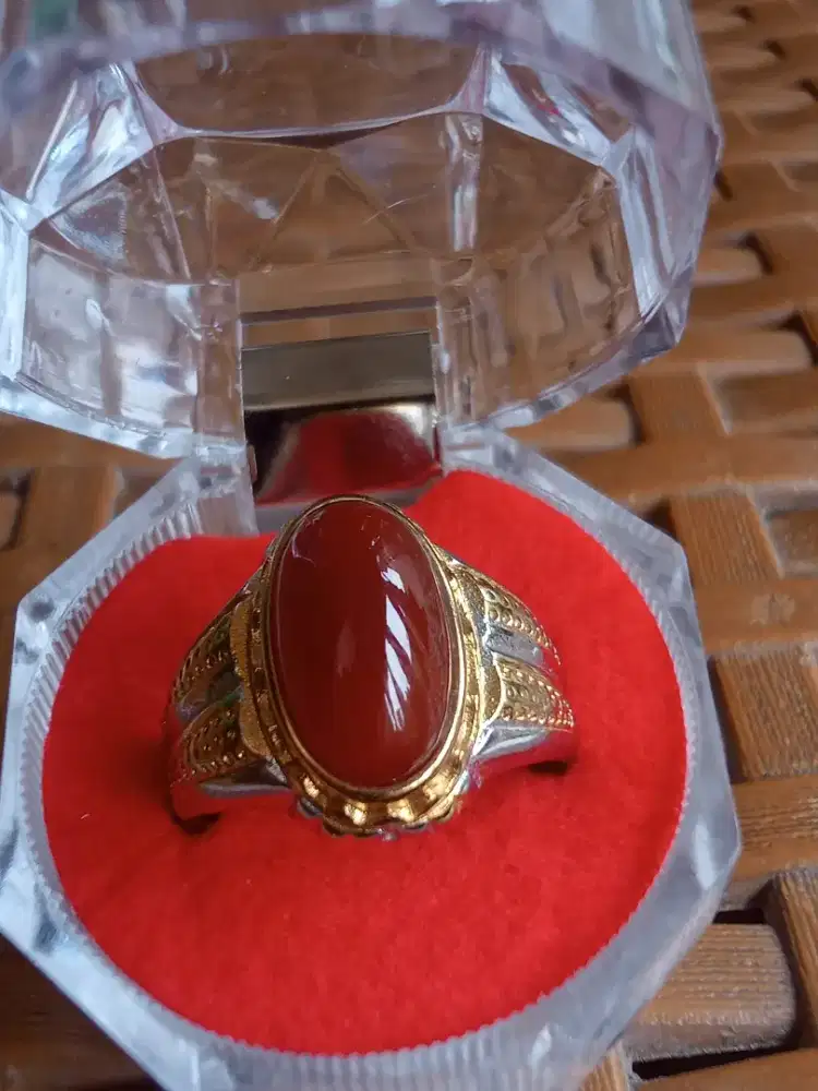 Batu red raflesia sawo Kecik.