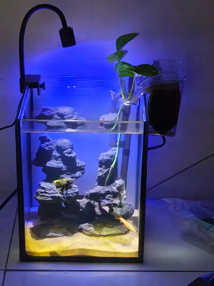Aquarium mini full set