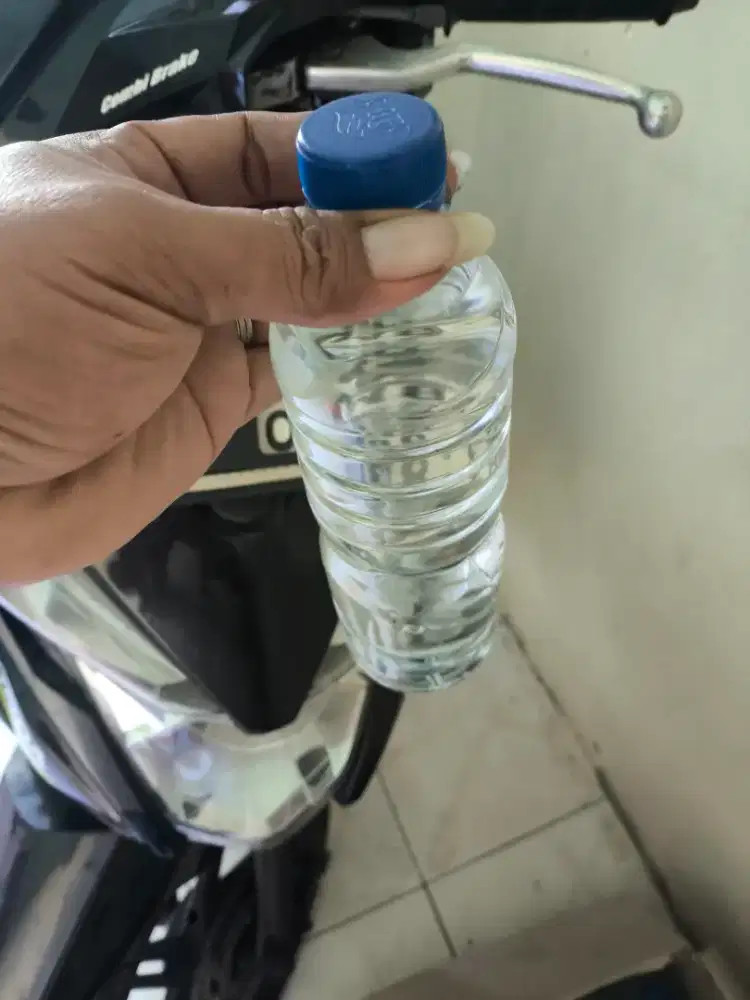 Ciu bakonang asli