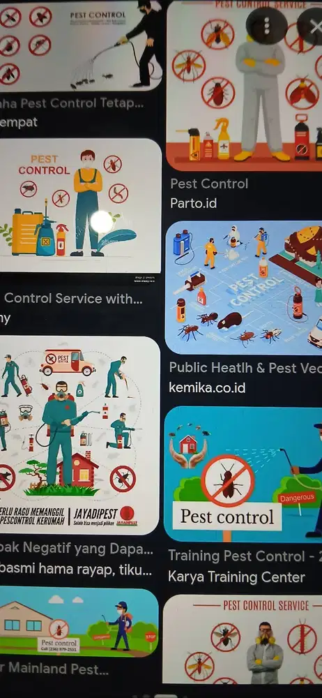 Jasa pest control nyamuk semut lalat kecoa tikus rayap kutu busuk