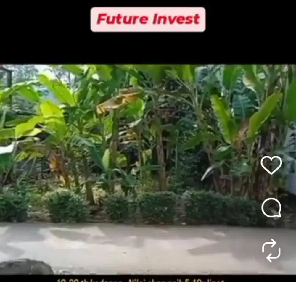 Jual Tanah Pekarangan 238 M2 (17 ubin) Milik Pribadi