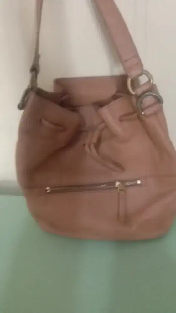 Tas kulit fossil