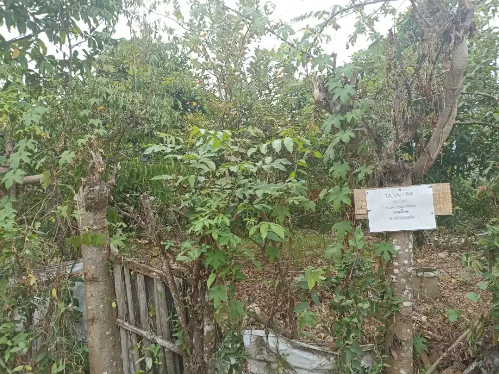 dijual tanah kavling bekas kebun  400 m2 (nego)