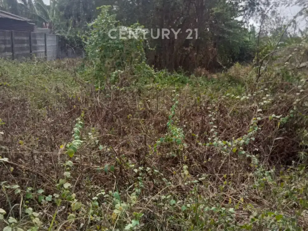 Dijual Kavling Tanah Daerah Bunder Cikupa Tangerang