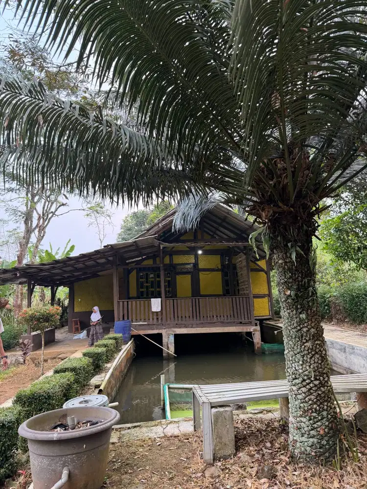 villa tanah luas kolam renang , kolam ikan ,