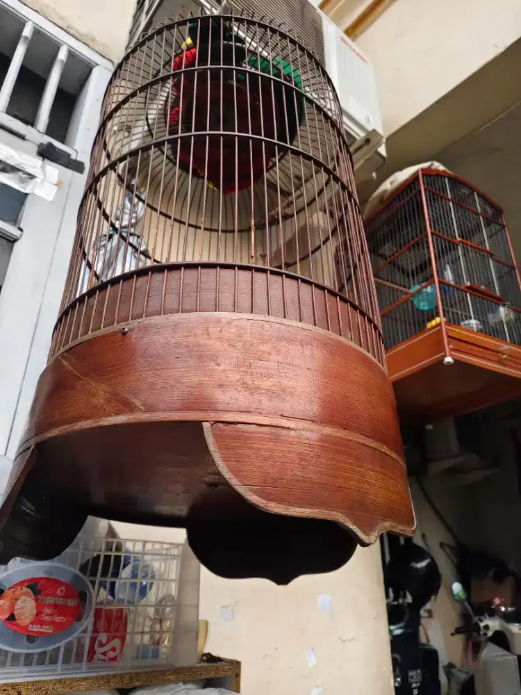 Sangkar br klasik cakep