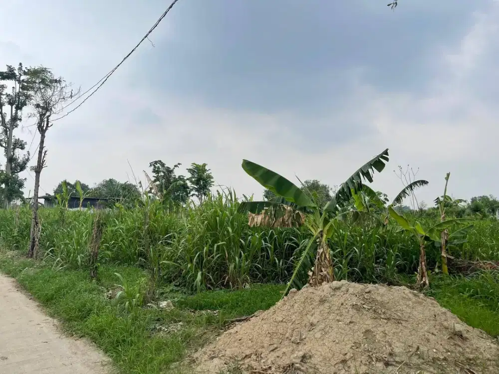 Tanah Daerah Mojokerto Hadap Selatan  Row Jalan 2 mobil