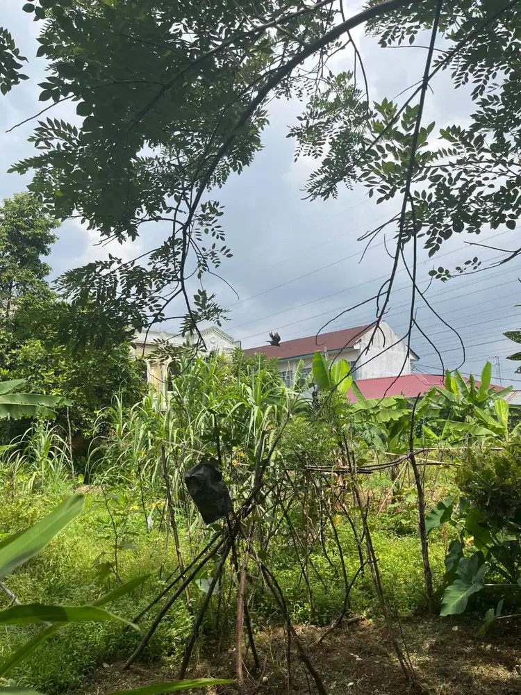 Dijual Tanah Murah di Jl. Tritura STM Medan Johor Seluas 1725m2