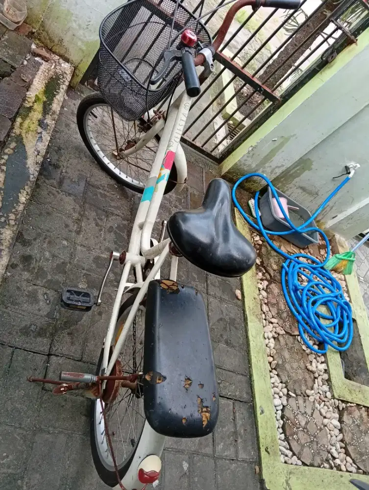 Sepeda anak genio
