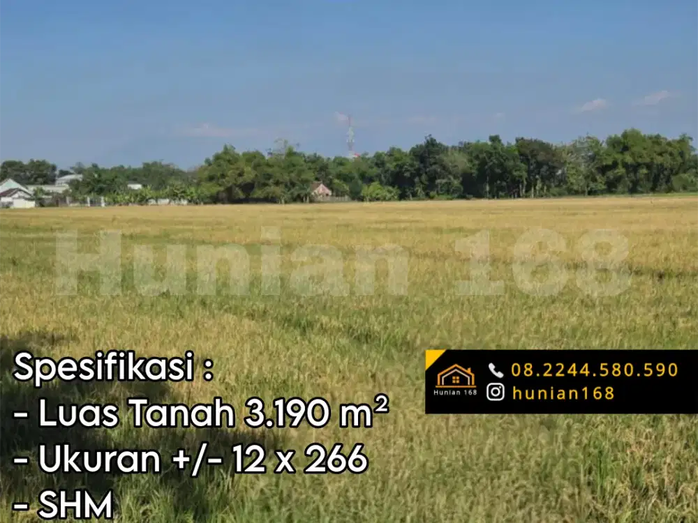 Tanah Kavling Sawah Kebun Ternak Peternakan Perkebunan Jombang Jawa Timur Jatim Kota Kompleks Perumahan Developer Ruko Rumah