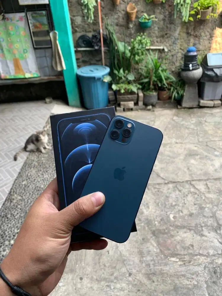 Iphone 12 pro 128gb alloperator