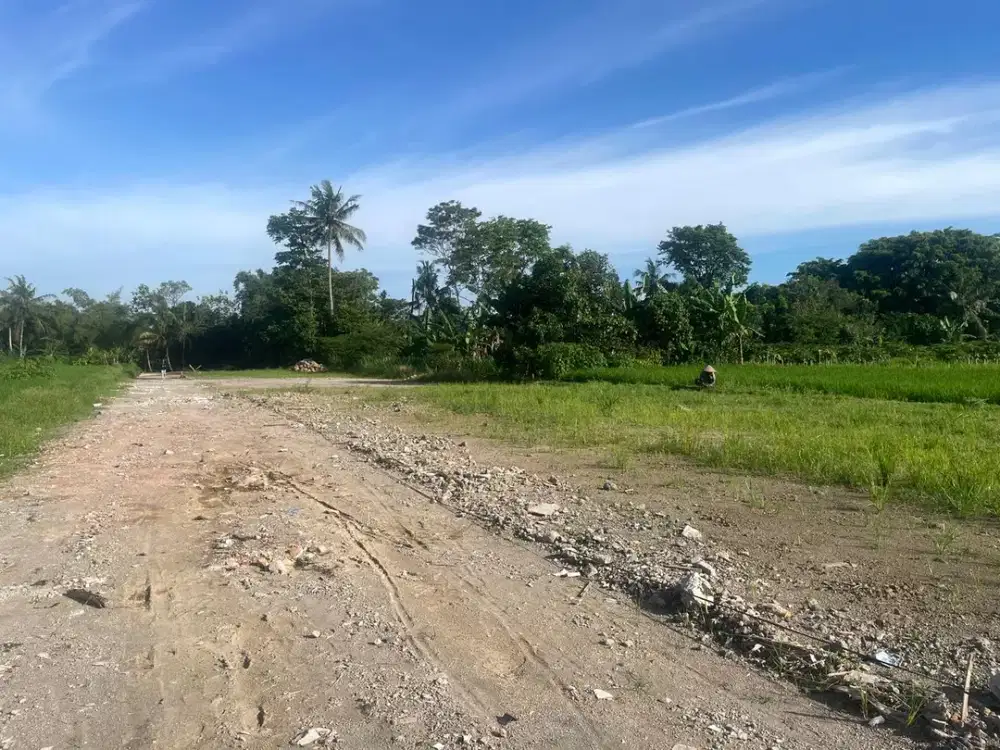 SHMP 4 Menit Masjid Suciati Sleman, Mangku Jalan Utama