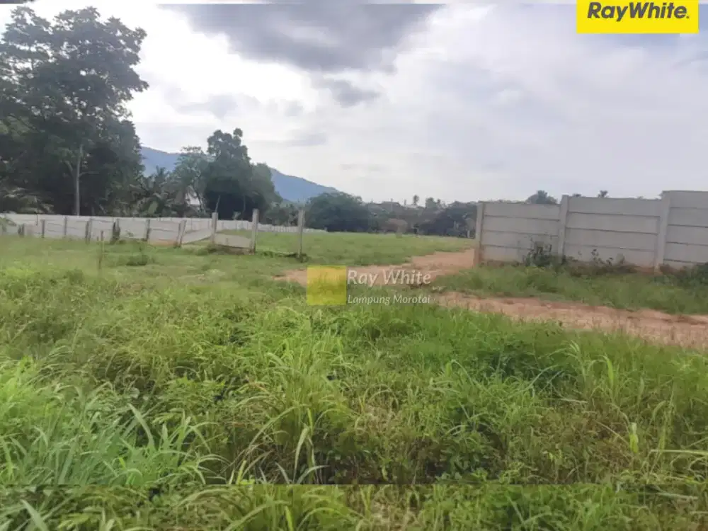 Dijual Tanah di JL. Way Laga, Sukabumi, Bandar Lampung (kode 3650)