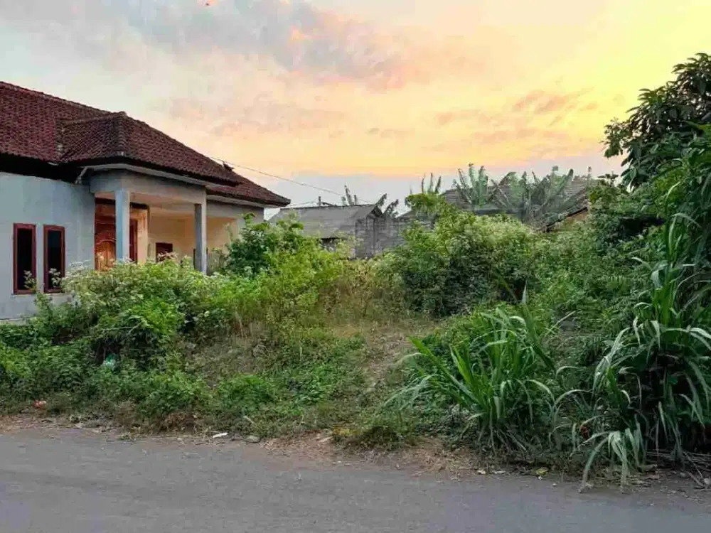 Dijual Tanah Lingk. Kampus Unud