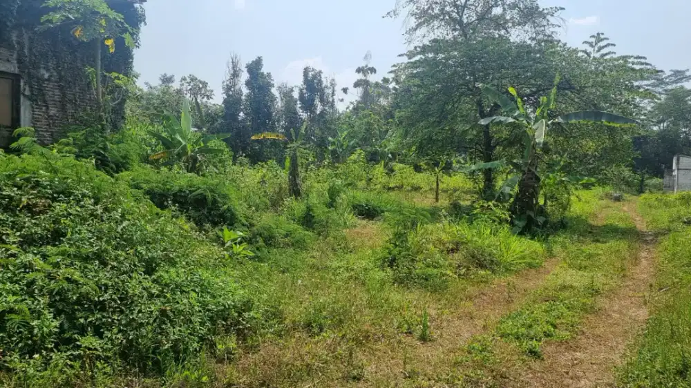 Dijual tanah kosong di Dukuh Ngemplak Kota Salatiga
