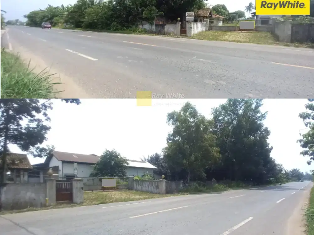 Dijual Tanah + gudang Di Gunung Sugih, Lampung Tengah (Kode CC HRO 3653)