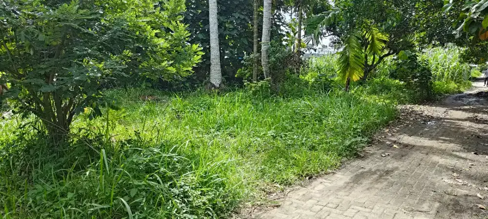Jual Tanah Tapak Rumah
