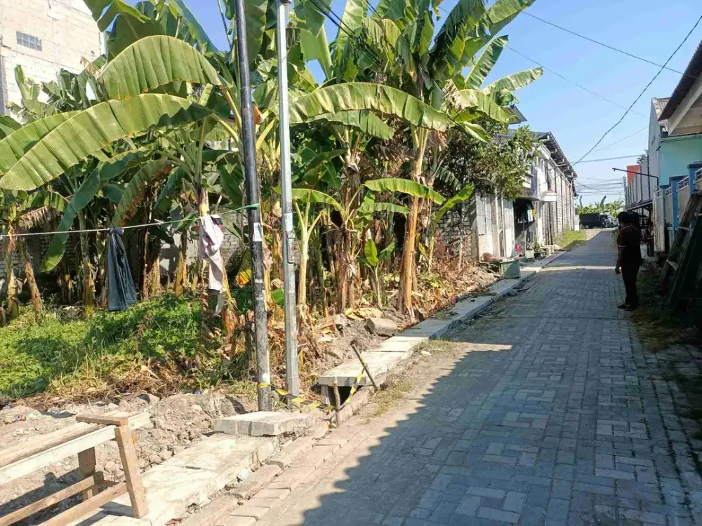 Dijual Tanah Murah di Sumberejo Benowo Kec Pakal Surabaya Barat Dekat Perum Suryanata Gbt