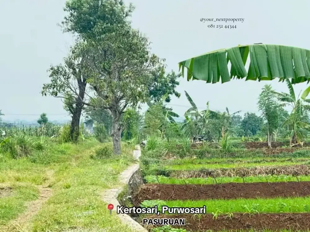Tanah Siap Bangun Di Kertosari, Kecamatan Purwosari Kabupaten Pasuruan