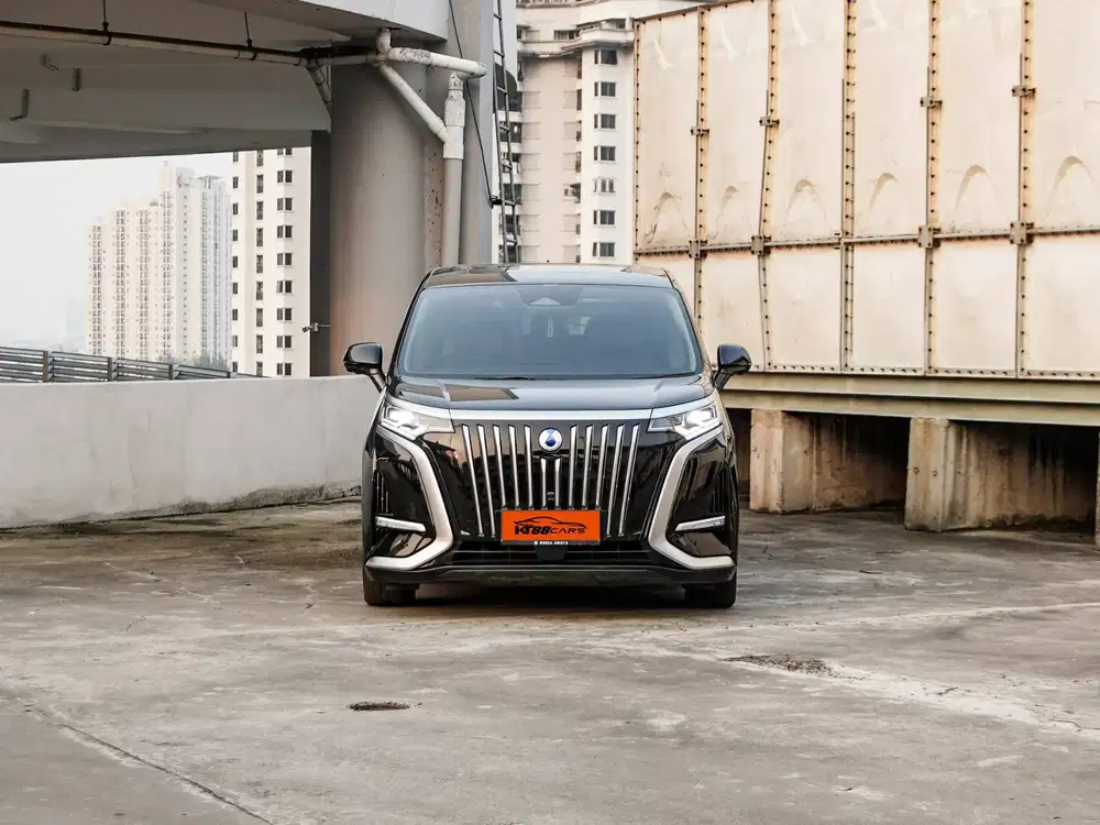 DENZA D9 EV AT 2025