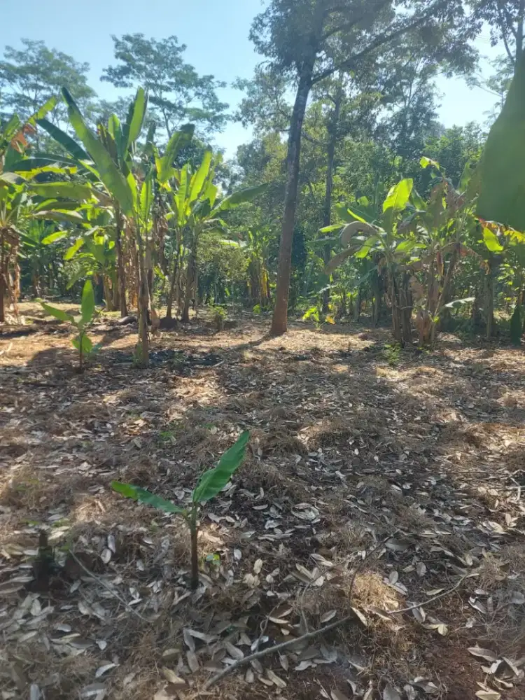 Dijual tanah datar