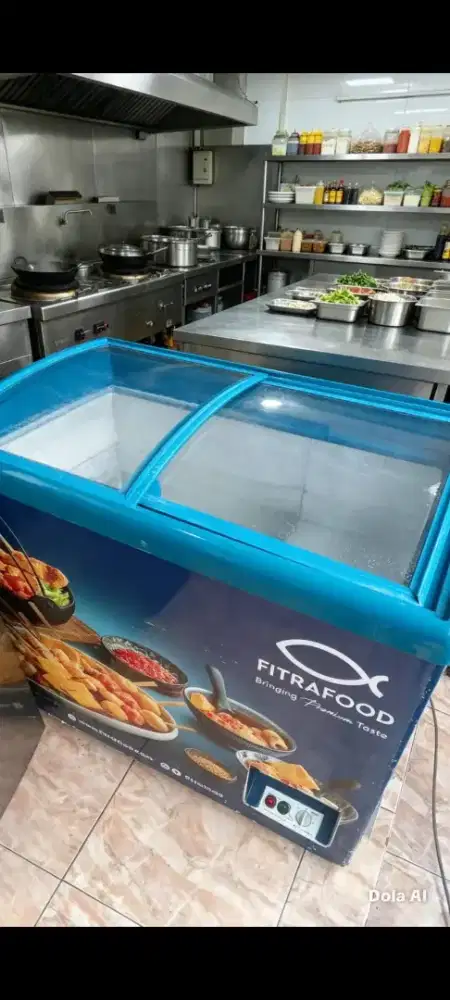 Freezer box 250L