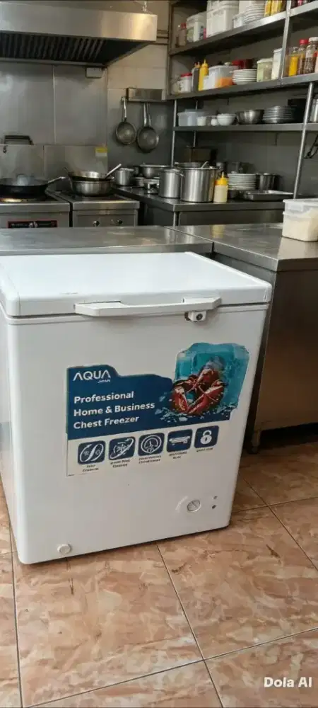 Freezer box 100L AQUA
