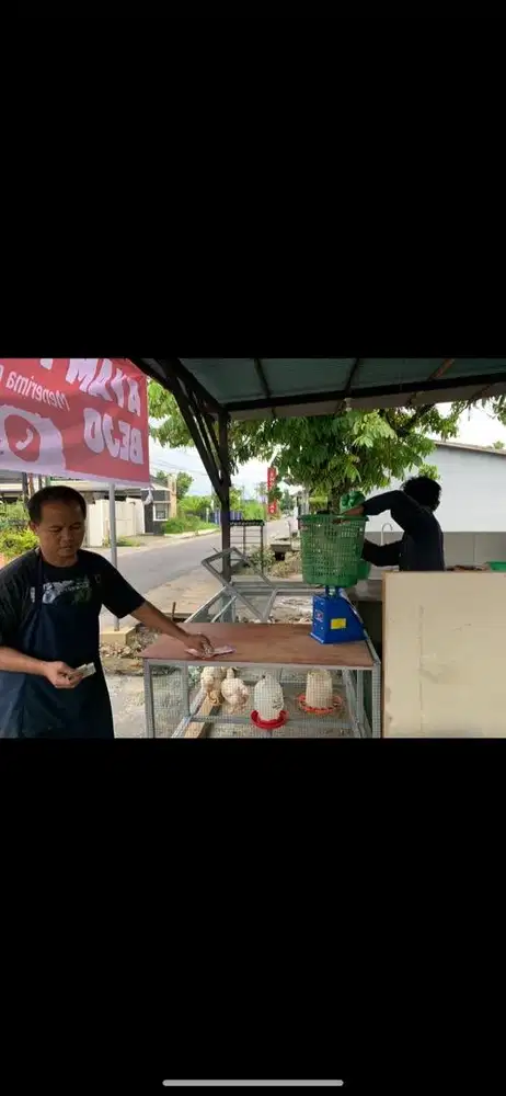 DIBUTUHKAN TUKANG POTONG AYAM