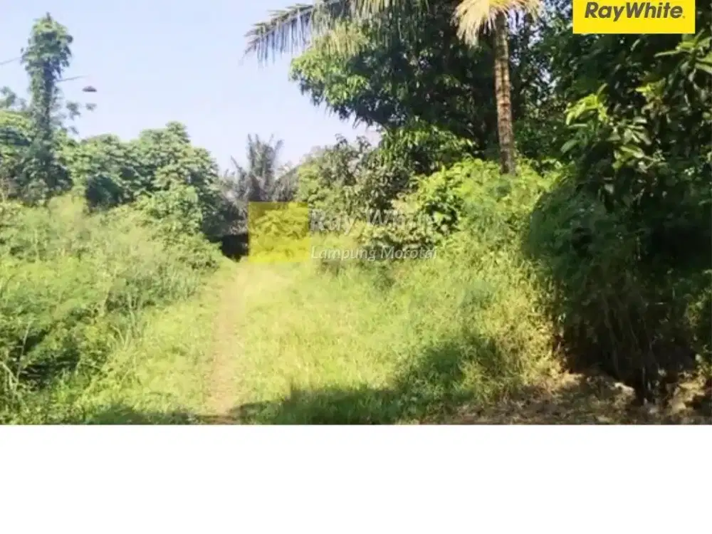 Dijual Tanah di JL. ZA. Pagar Alam, Rajabasa, Bandar LAmpung (Kode Ber 3655)