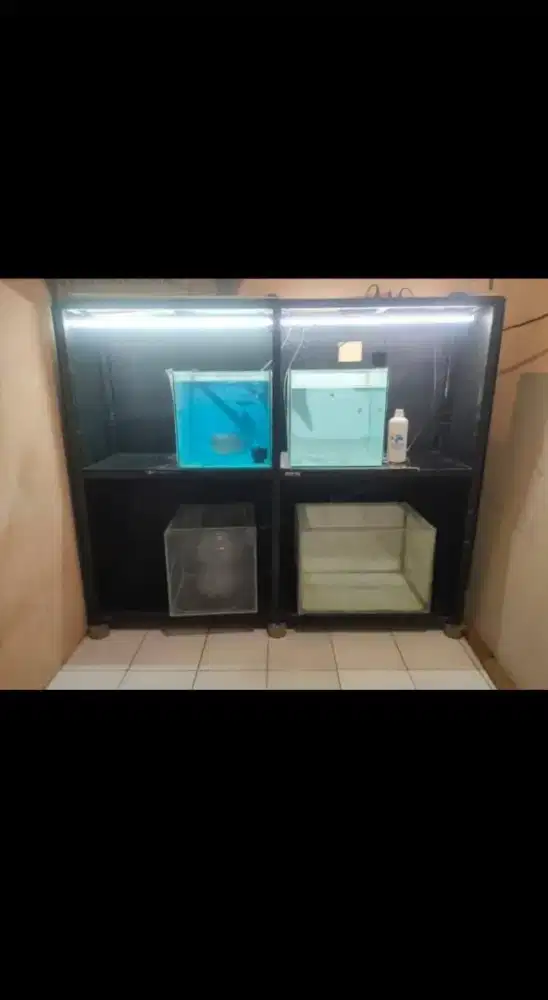 Jual akuarium dan rak