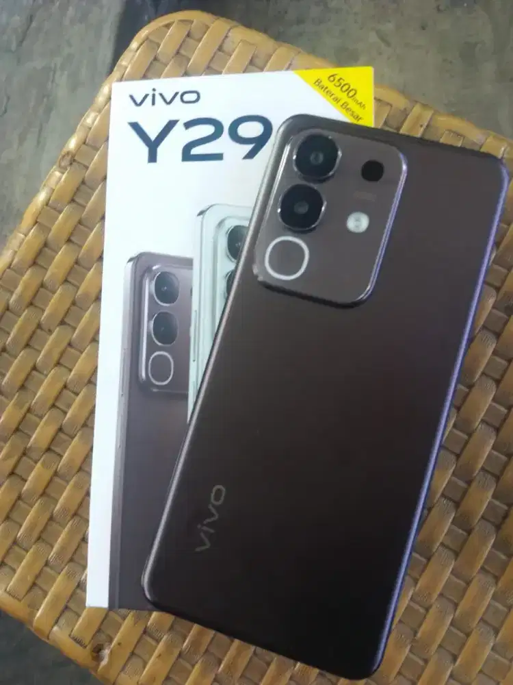 Vivo Y29 Ram 8/128
