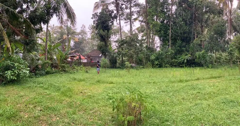 Tanah 6 are di Abiansemal, Badung, Bali