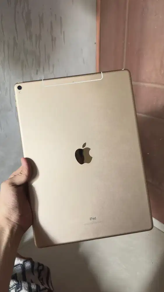 Ipad pro 12.9 inch gen 2 64gb wifi only