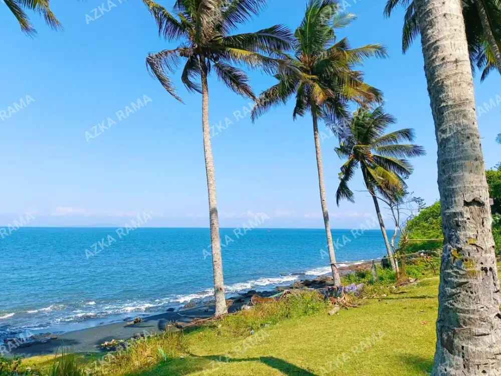 Tanah Los Pantai 8 hektar komplek di baluk rening jembrana
