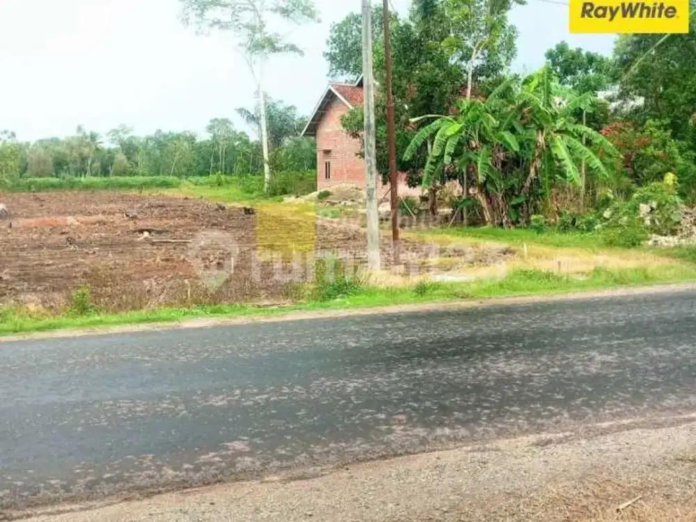 tanah di  area kemiling