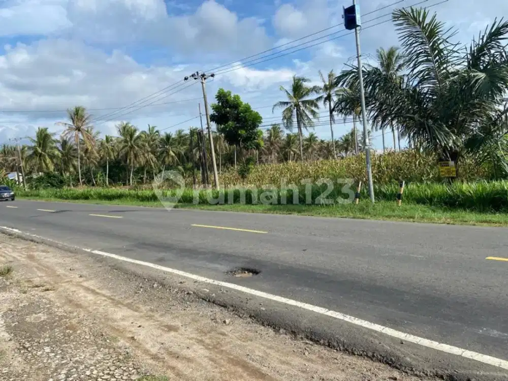 TANAH DILOKASI STRATEGIS TEPI JALAN LINTAS SUMATRA KALIANDA KOTA