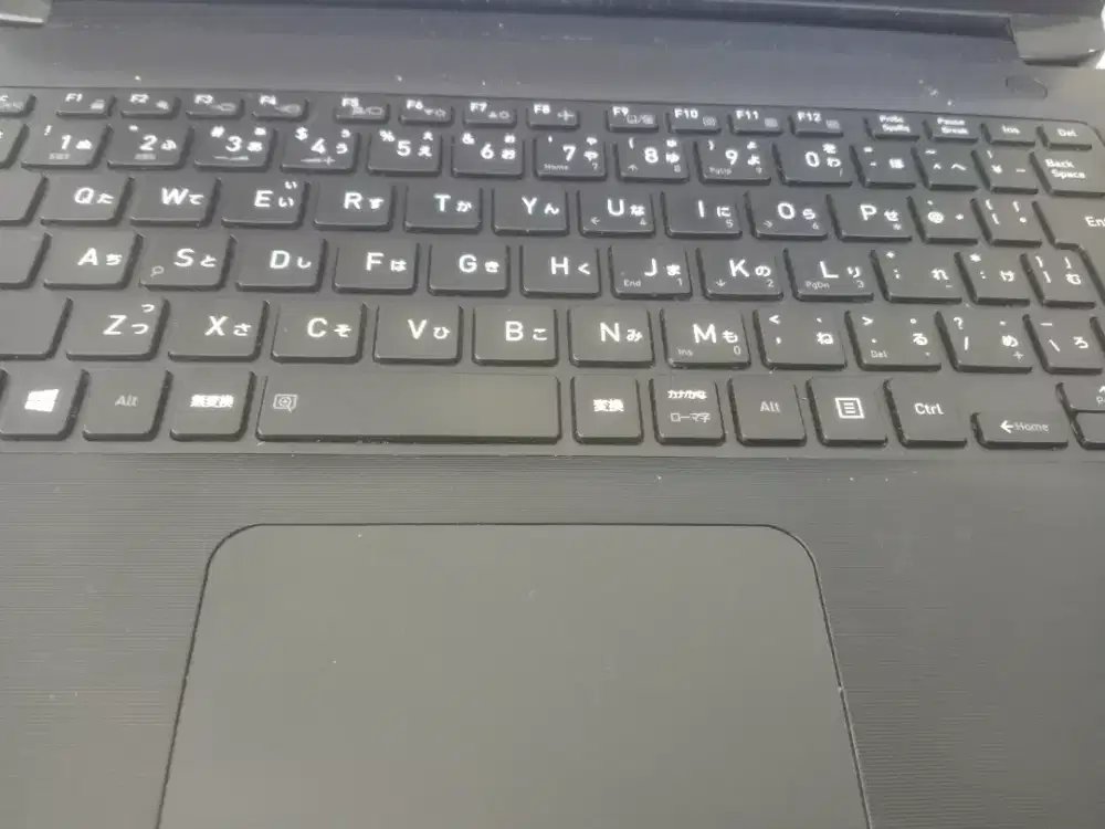 lowongan kerja Host live dan Editor