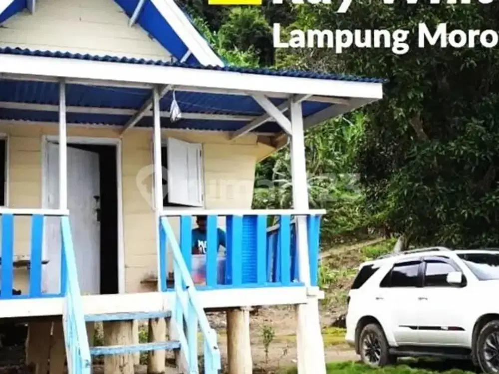 MURAH TANAH PANTAI DI DESA PAGAR JAYA PESAWARAN