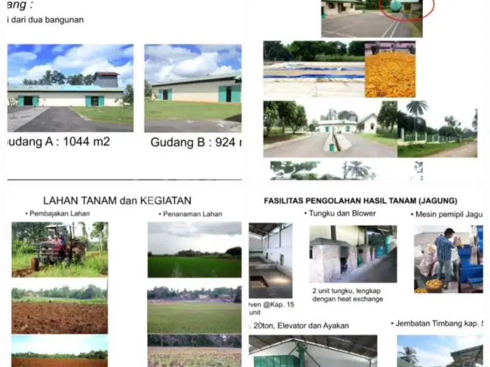 Cepat Pabrik & Lahan Tanam Jagung Di Tegineneng
