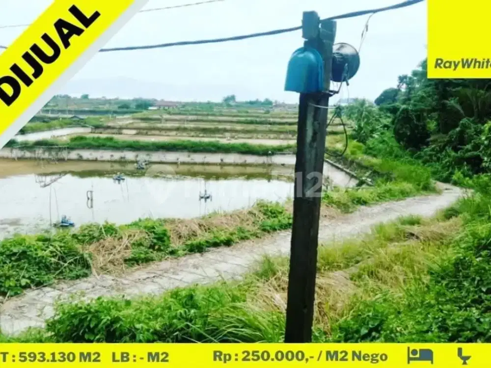Tambak di desa Sidodadi  Padang Cermin, Pesawaran