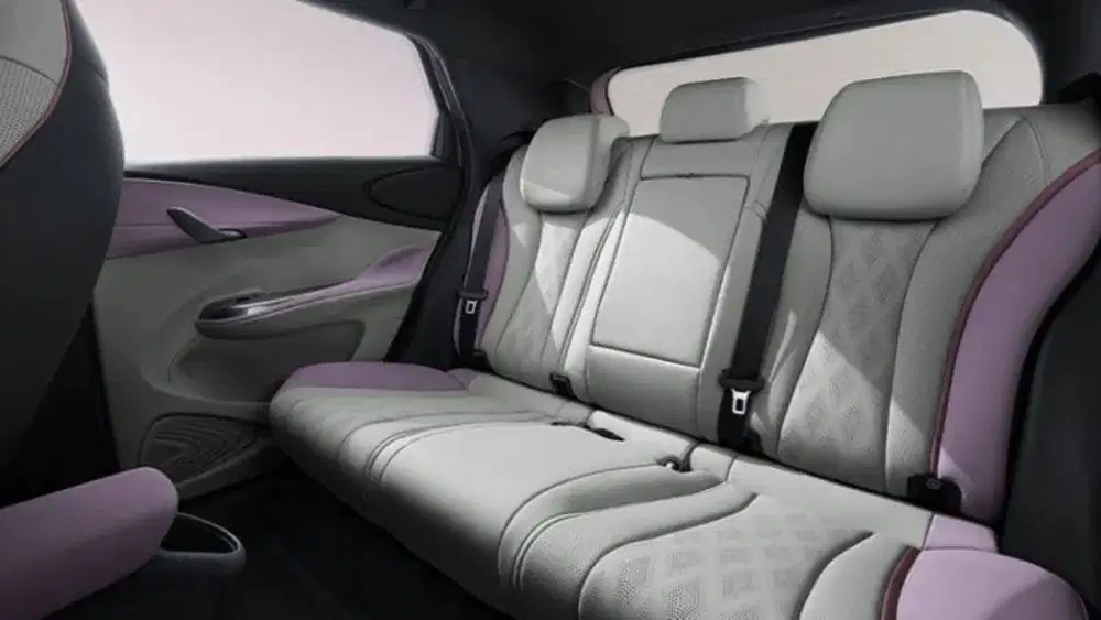 BYD DOLPHIN Dynamic Listrik-AT