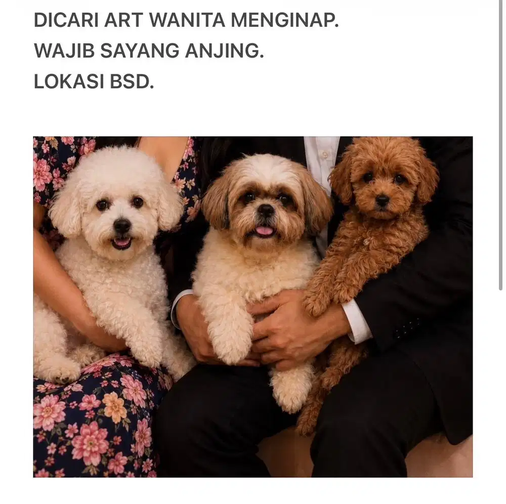 Dicari ART Wanita Menginap Sayang Anjing