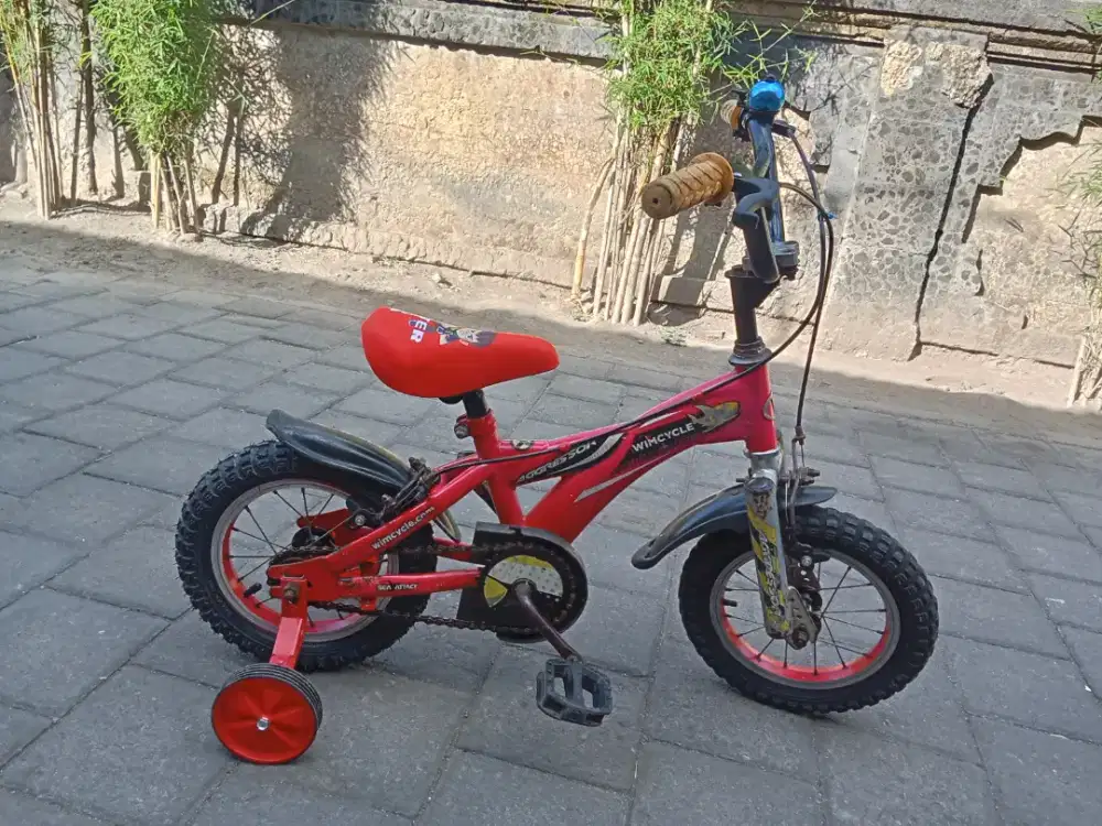 Sepeda anak WIMCYCLE AGGRESSOR R 12