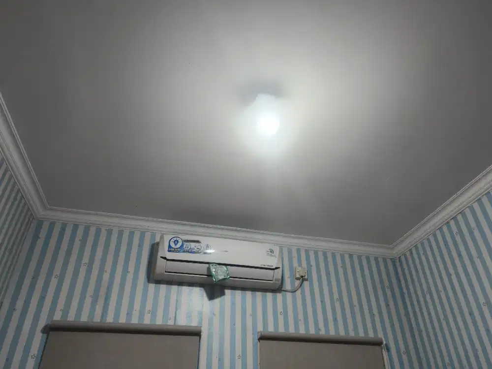 Ac sharp 1/2 pk